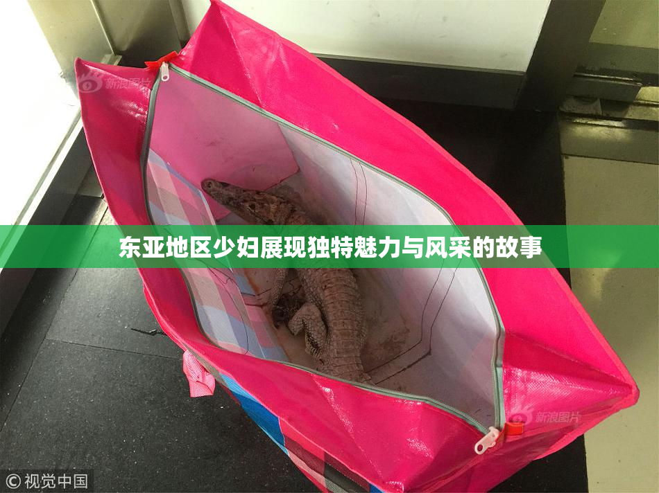东亚地区少妇展现独特魅力与风采的故事