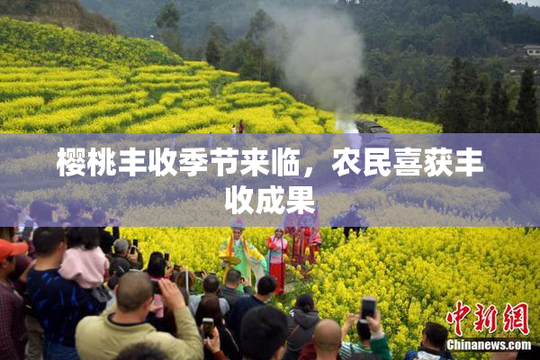 樱桃丰收季节来临，农民喜获丰收成果