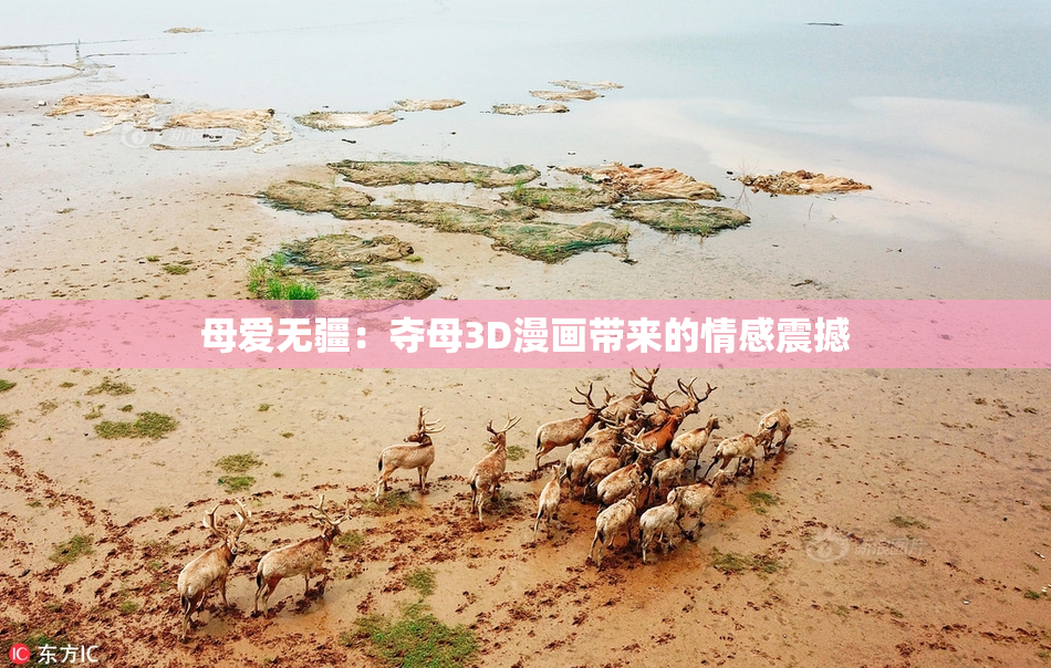 母爱无疆：夺母3D漫画带来的情感震撼