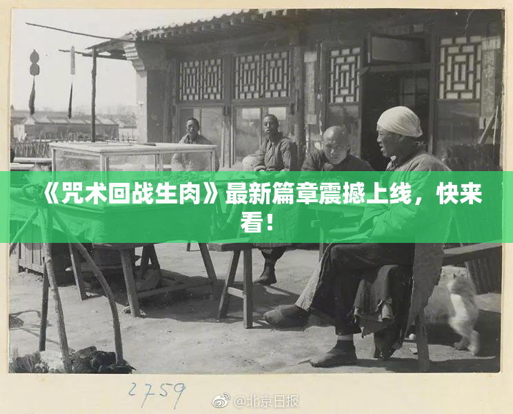 《咒术回战生肉》最新篇章震撼上线，快来看！