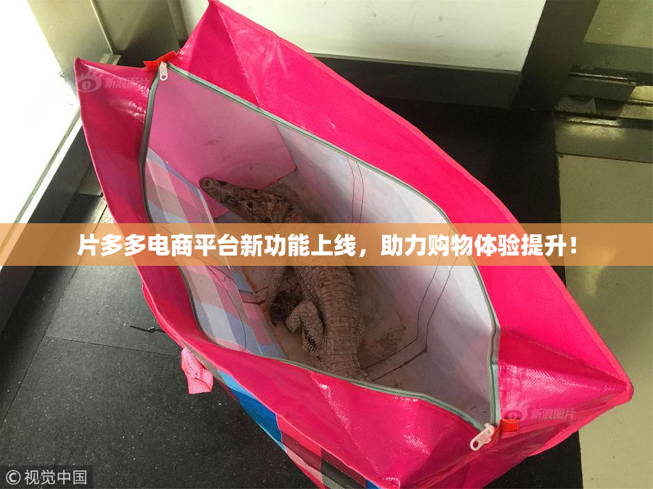 片多多电商平台新功能上线，助力购物体验提升！