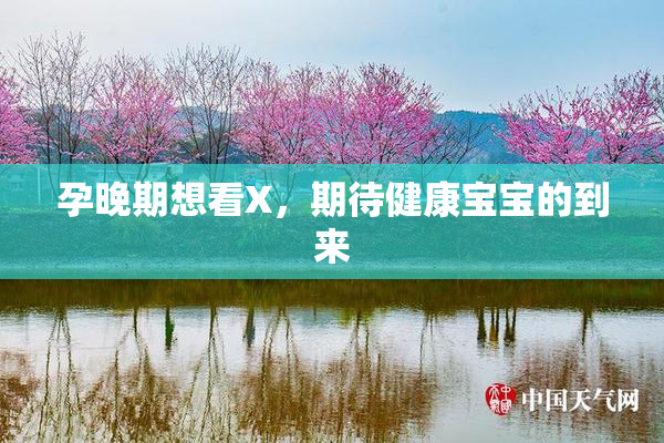 孕晚期想看X，期待健康宝宝的到来