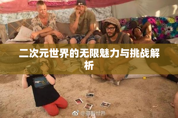 二次元世界的无限魅力与挑战解析