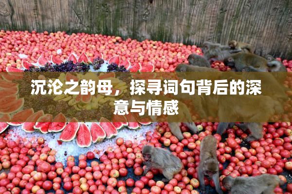 沉沦之韵母，探寻词句背后的深意与情感