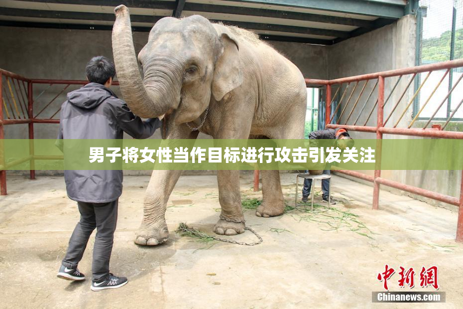 男子将女性当作目标进行攻击引发关注