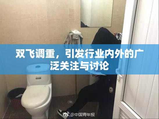 双飞调重，引发行业内外的广泛关注与讨论