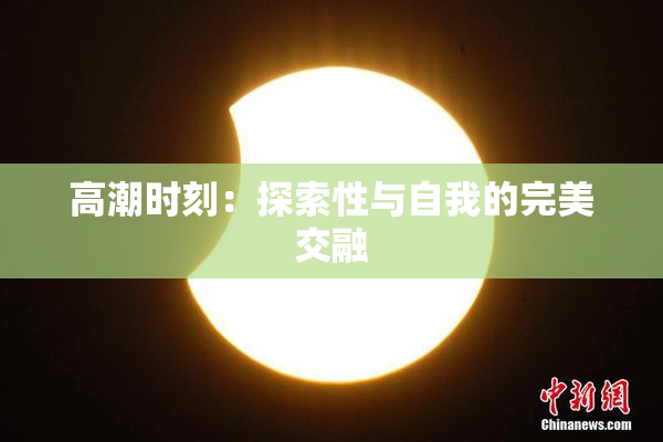 高潮时刻：探索性与自我的完美交融