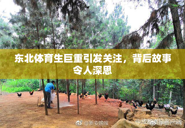 东北体育生巨重引发关注，背后故事令人深思