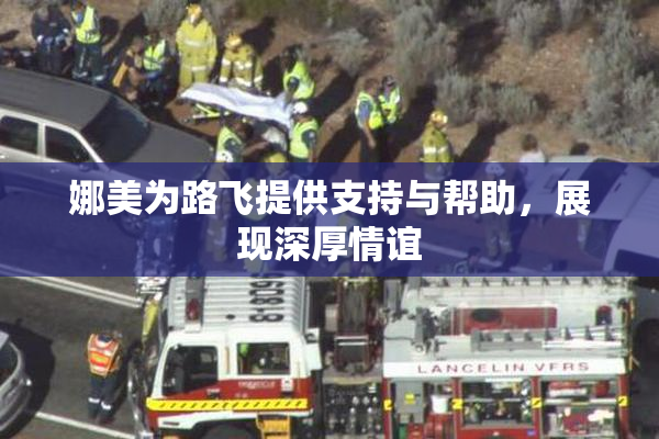 娜美为路飞提供支持与帮助，展现深厚情谊