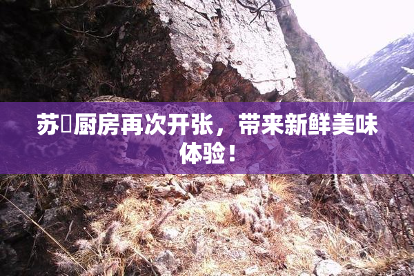 苏玥厨房再次开张，带来新鲜美味体验！