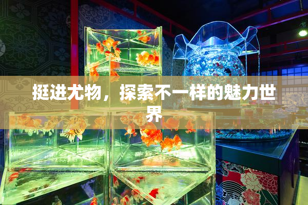 挺进尤物，探索不一样的魅力世界