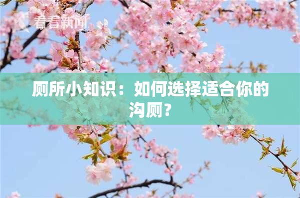 厕所小知识：如何选择适合你的沟厕？