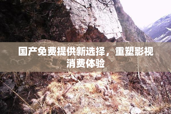 国产免费提供新选择，重塑影视消费体验