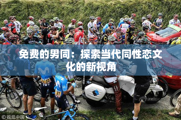免费的男同：探索当代同性恋文化的新视角