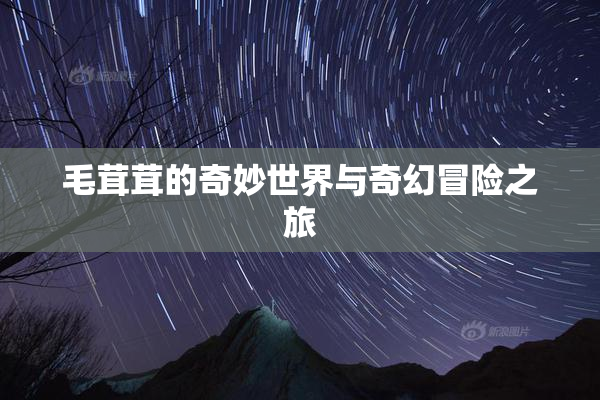 毛茸茸的奇妙世界与奇幻冒险之旅