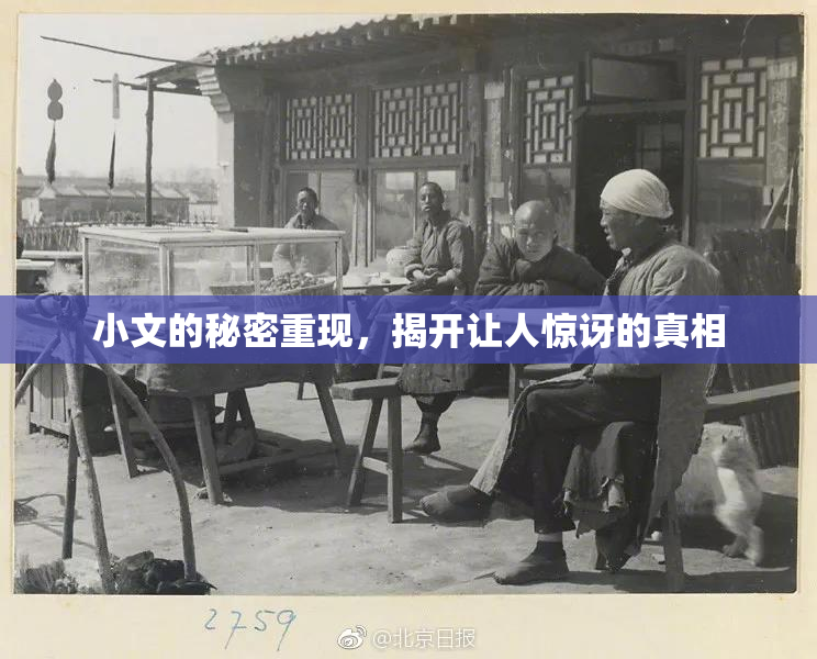 小文的秘密重现，揭开让人惊讶的真相
