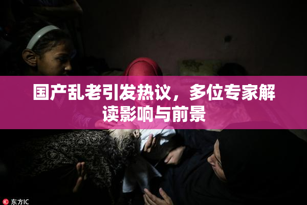 国产乱老引发热议，多位专家解读影响与前景