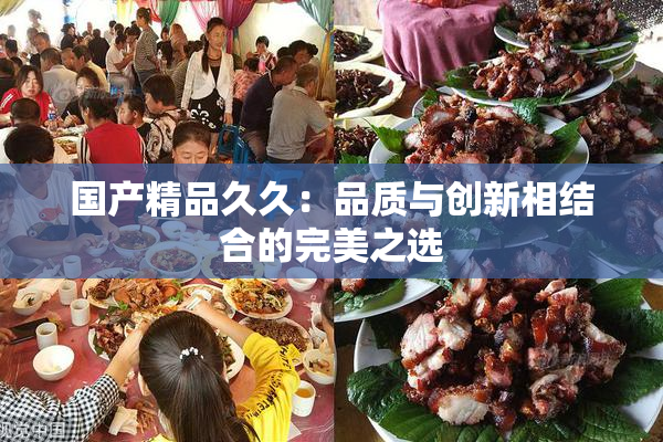 国产精品久久：品质与创新相结合的完美之选
