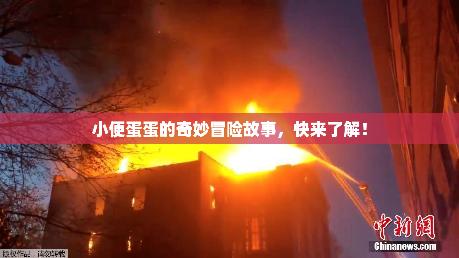 小便蛋蛋的奇妙冒险故事，快来了解！