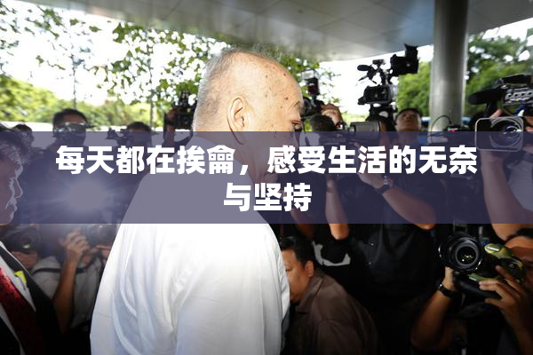 每天都在挨龠，感受生活的无奈与坚持