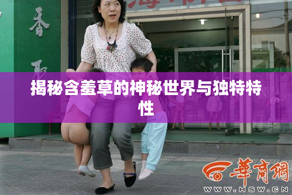 揭秘含羞草的神秘世界与独特特性