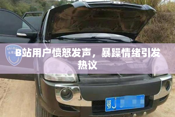 B站用户愤怒发声，暴躁情绪引发热议