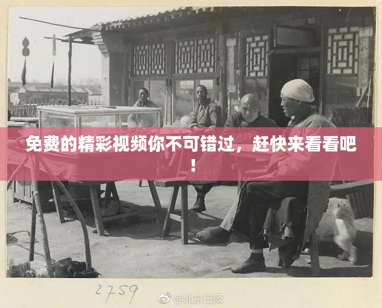 免费的精彩视频你不可错过，赶快来看看吧！