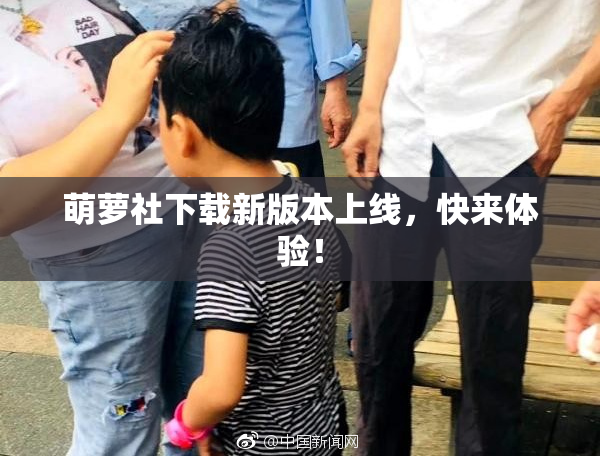 萌萝社下载新版本上线，快来体验！