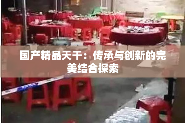 国产精品天干：传承与创新的完美结合探索