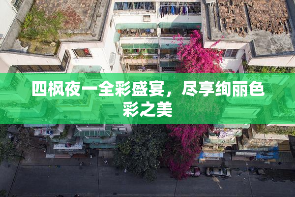四枫夜一全彩盛宴，尽享绚丽色彩之美