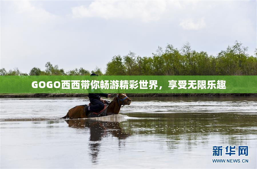 GOGO西西带你畅游精彩世界，享受无限乐趣
