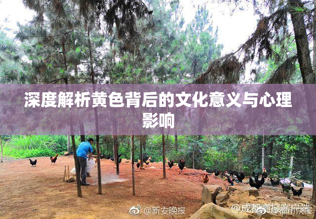 深度解析黄色背后的文化意义与心理影响