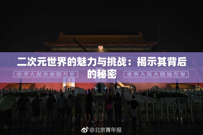 二次元世界的魅力与挑战：揭示其背后的秘密