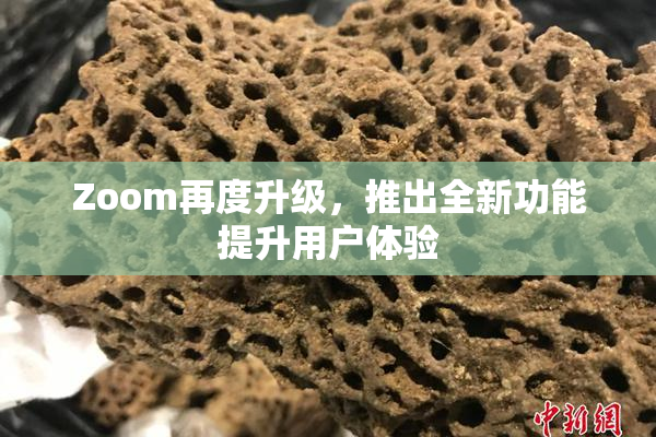 Zoom再度升级，推出全新功能提升用户体验