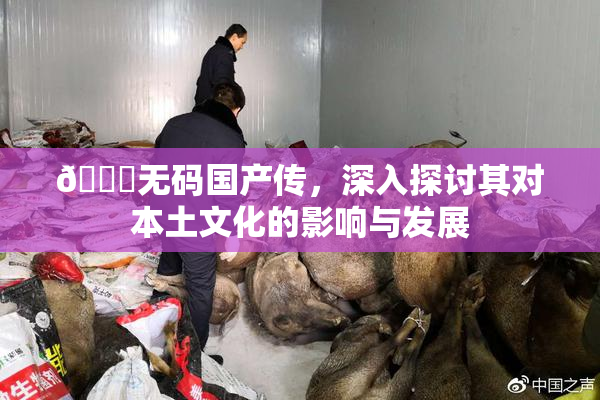 🔞无码国产传，深入探讨其对本土文化的影响与发展