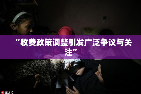 “收费政策调整引发广泛争议与关注”