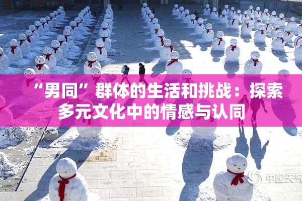 “男同”群体的生活和挑战：探索多元文化中的情感与认同