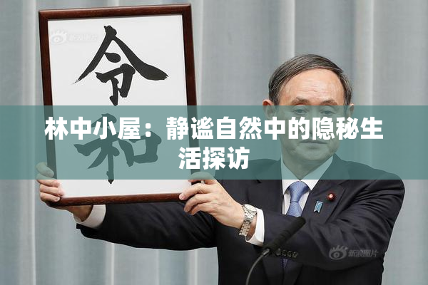 林中小屋：静谧自然中的隐秘生活探访