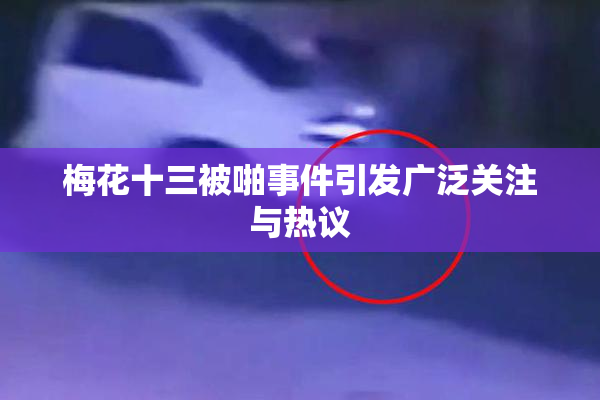 梅花十三被啪事件引发广泛关注与热议