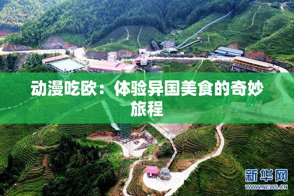 动漫吃欧：体验异国美食的奇妙旅程