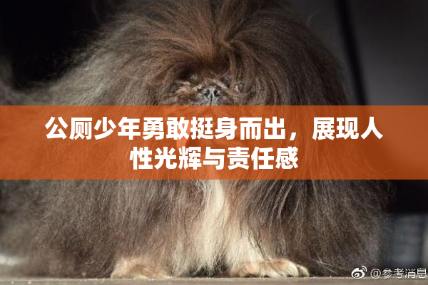 公厕少年勇敢挺身而出，展现人性光辉与责任感