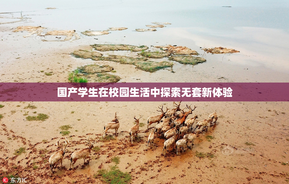 国产学生在校园生活中探索无套新体验