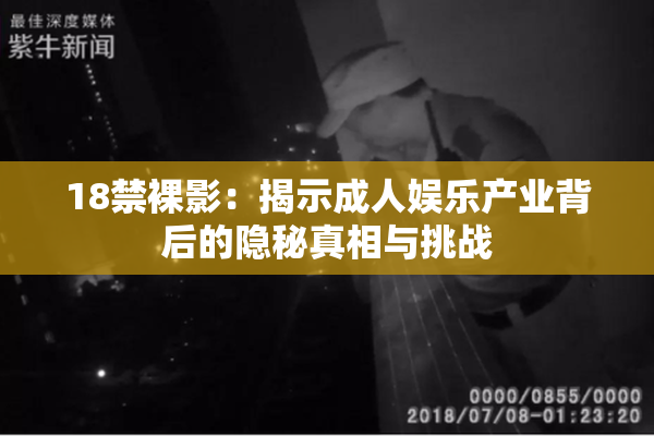 18禁裸影：揭示成人娱乐产业背后的隐秘真相与挑战