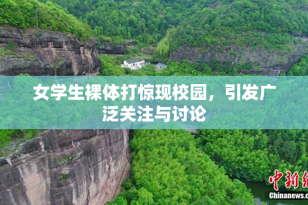 女学生裸体打惊现校园，引发广泛关注与讨论