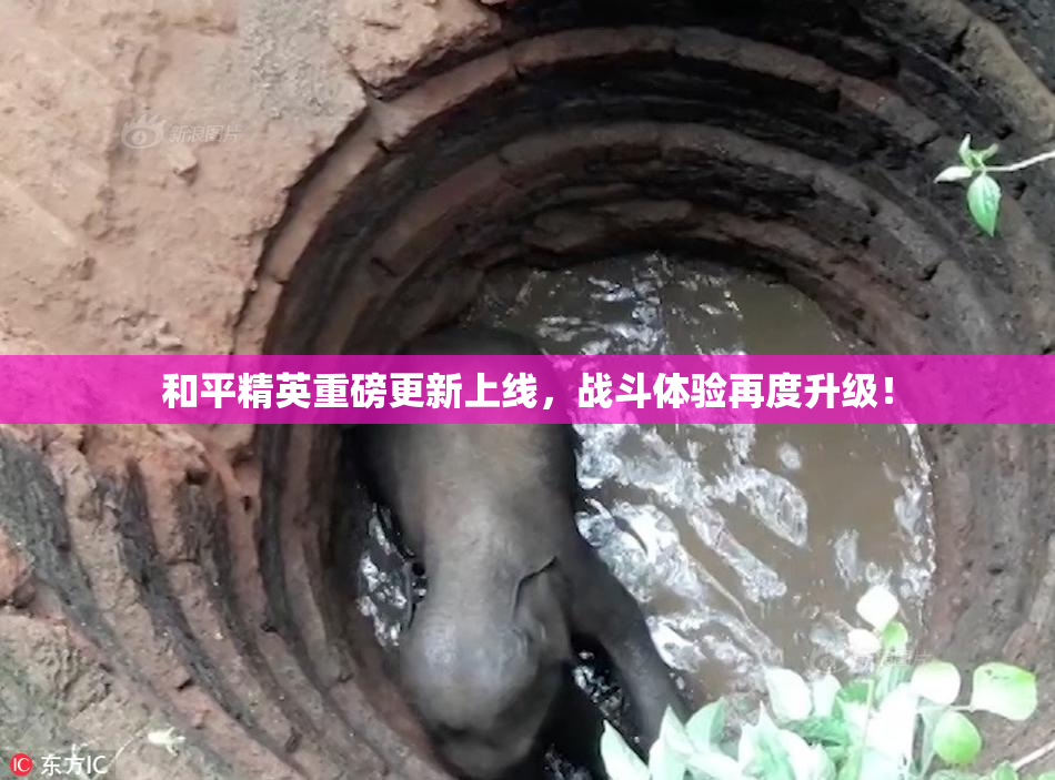 和平精英重磅更新上线，战斗体验再度升级！