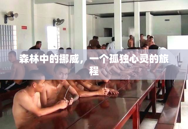 森林中的挪威，一个孤独心灵的旅程