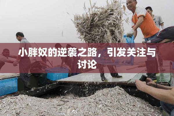 小胖奴的逆袭之路，引发关注与讨论