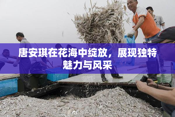 唐安琪在花海中绽放，展现独特魅力与风采