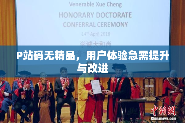 P站码无精品，用户体验急需提升与改进