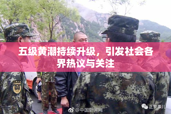 五级黄潮持续升级，引发社会各界热议与关注